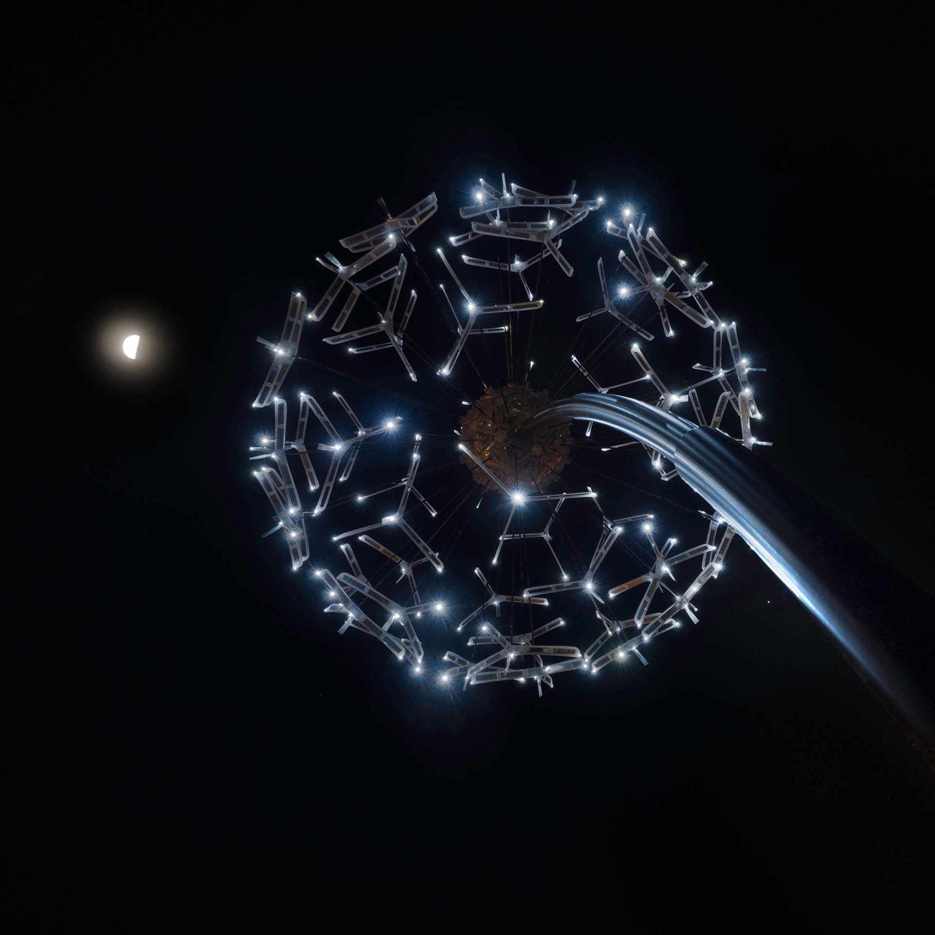 Dandelion by night Dandelion by night