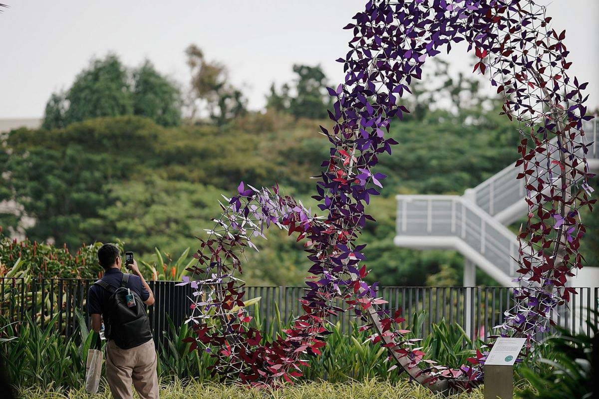 ntu-community-loop-photographer